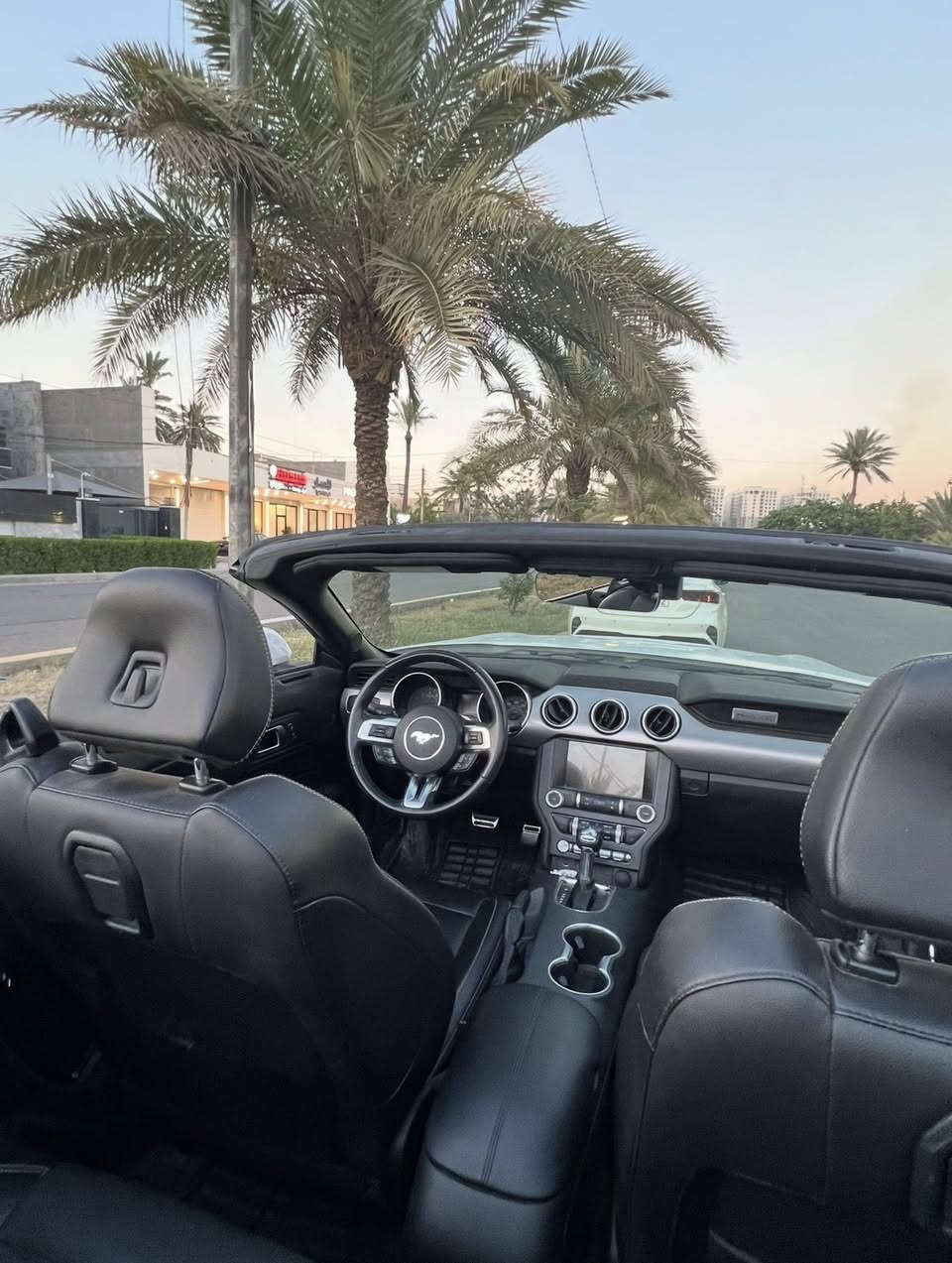 السلام عليكم
موستنك موديل 2023 كشف لون ابيض 🏎️

ماشيه ٣٣ 

فول مواصفات 

حادثها بسيط بدون ايرباك 

موضح بالصور التعديل مالتها 

صبغ بيها بس راس البنيد ورأس الجاملغ 

عنواني بغداد - السيدية 

السعر ب ١٧٨

رقمي *********** وبي واتساب
