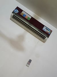 سبلت خارجي • عاطلة • طنين