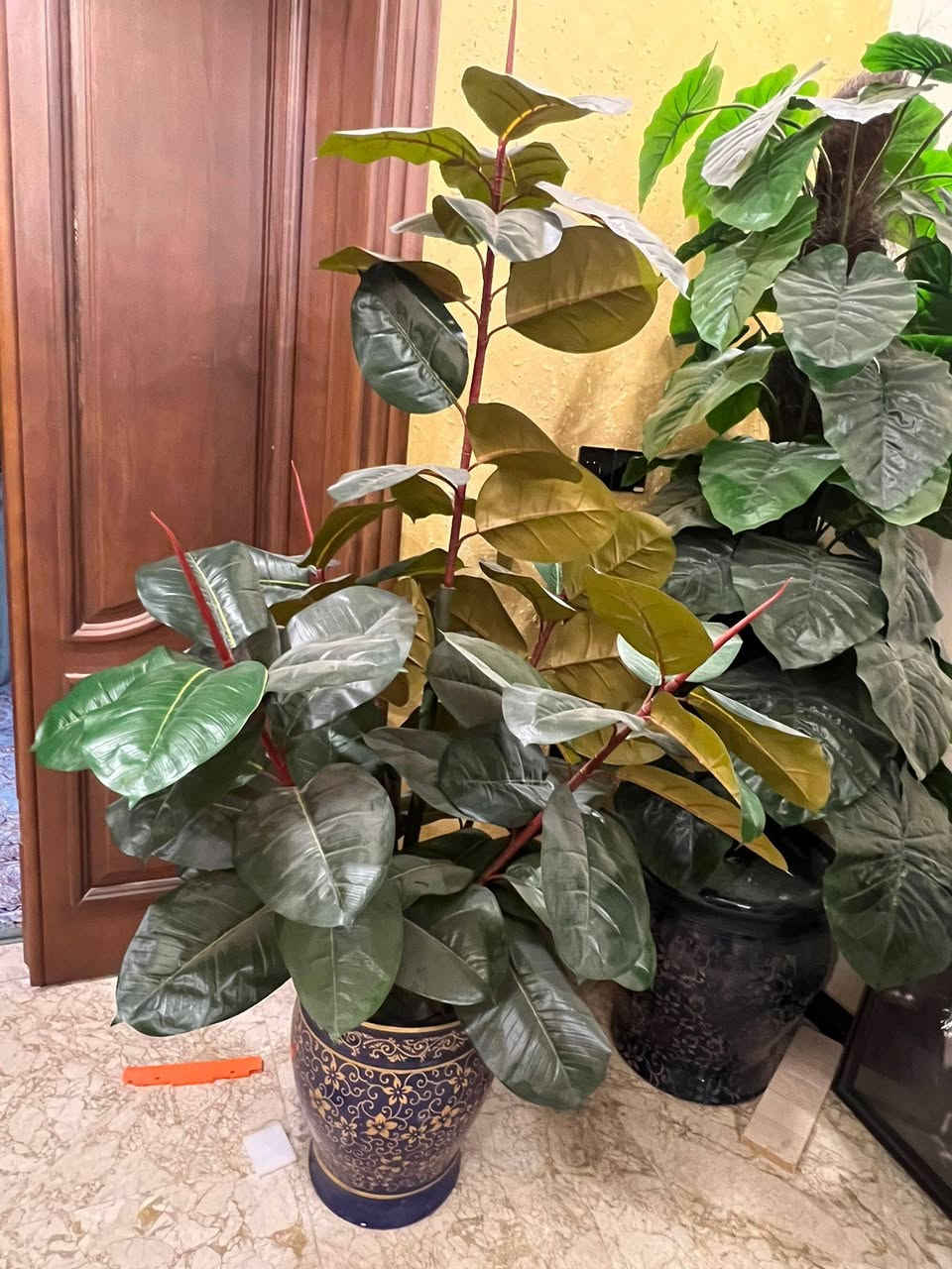 نبتتين صناعيات للبيع
سعر النبته الوحده 70 الف
قابل للتفاوض
لا يوجد توصيل
مكاني حي اور


**إذا كنت صاحب هذا الإعلان وتريد حذفه لأي سبب، رجاءا أرسل رسالة إلى الدعم الفني**