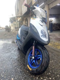 ماكس عدلة • بوشه ٥٥