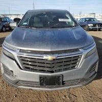 ٢٠٢٤ • وارد امريكي • كتاب شهداء