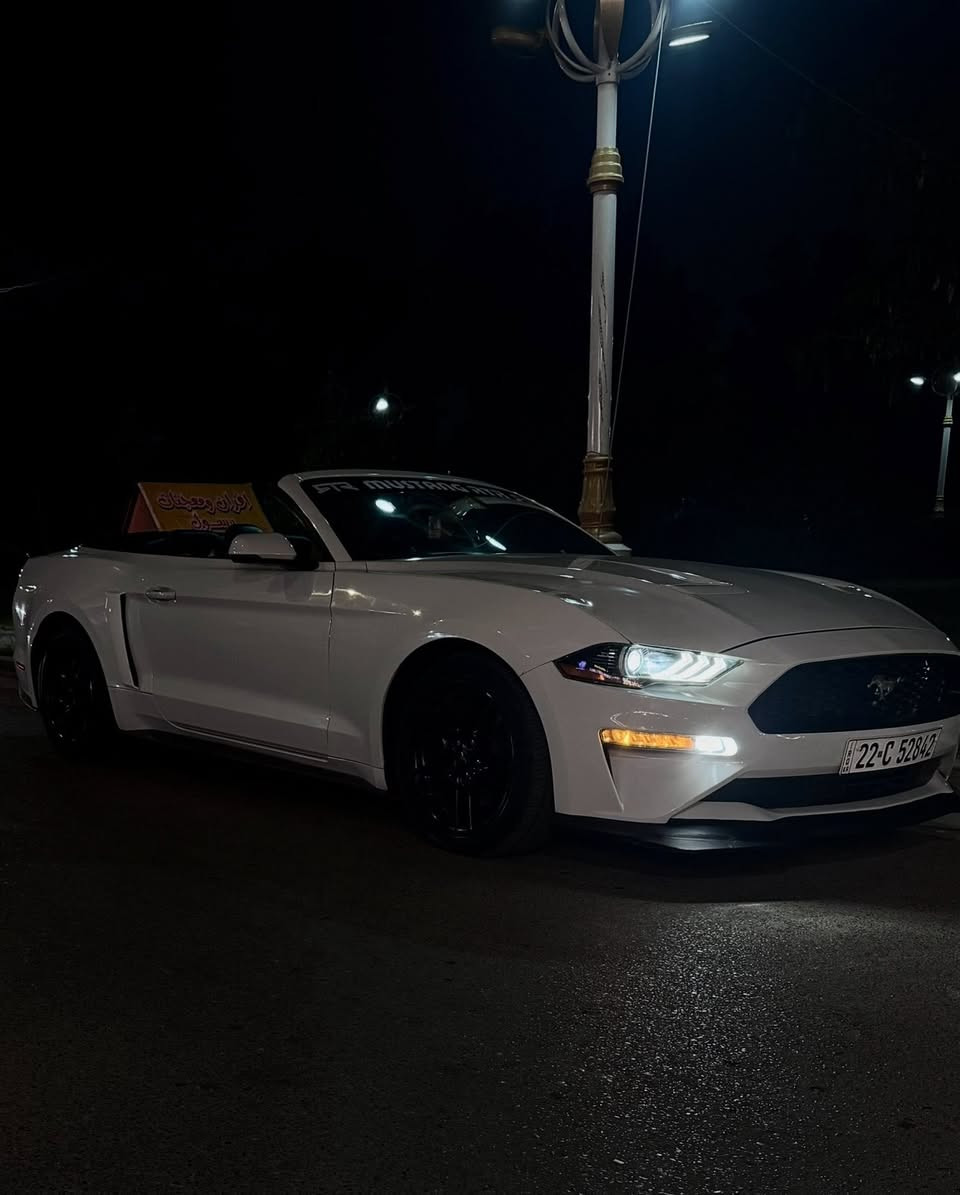 موستنك ايكو بوست كشف بريميوم 2018 فول مواصفات
ماشيه 65 الف ميل
السياره باسمي رقم اربيل(وكاله او تحويل)
مكان السياره بغداد/حي الجهاد
محرك 2.3 تيربو
مكينه كير كفاله
السعر 138$
الرقم ***********
