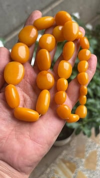عقد • كهرب طبيعي • مشروط
