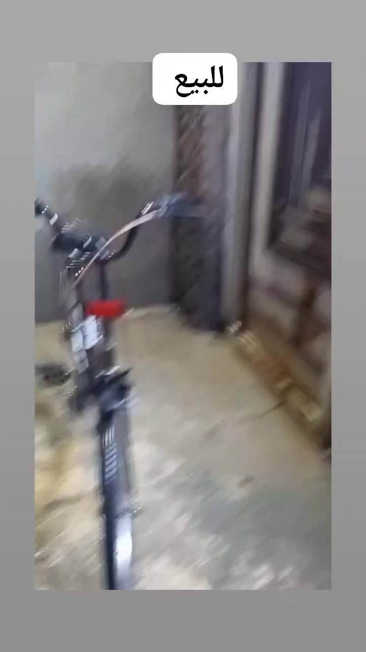 للبيع بايسكل جديد البايسكل ما مصبوغ تايرات جديد ويلة جديد البايسكل ياباني ما بي عطل  او نقص بريك كدامي وراني شغالات سعر 65 وبي مجال للطيبين كربلاء


**إذا كنت صاحب هذا الإعلان وتريد حذفه لأي سبب، رجاءا أرسل رسالة إلى الدعم الفني**