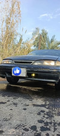 دايو برنس • ١٩٩٤ • النجف العباسية