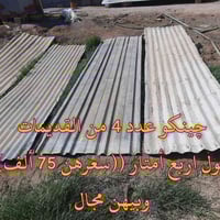 چينكو • ٤ أمتار • بهرز