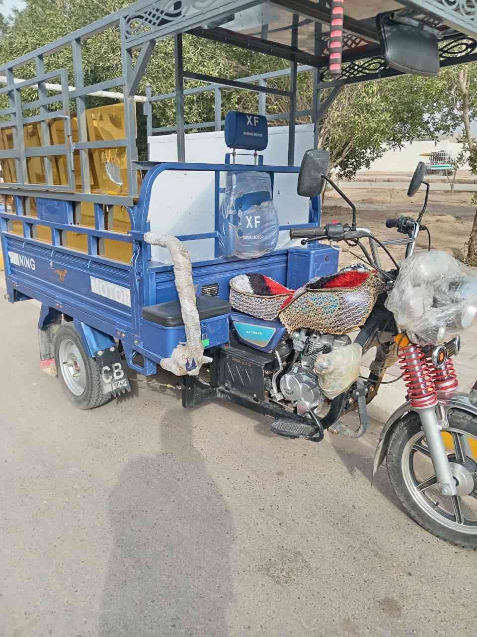 شباب ستوته للبيع موديل 23 ستوته جديده وخير من الله كلهه شغاله شباب اني مكلف بل نشر  تصل عل رقم صاحبه***********
