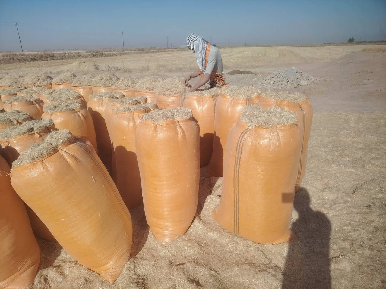 تبن درجة اولة توصيل للجميع المحافضات
جيس ابو ال ٩٠عرضة والطول ١٢٦
التواصل عل الأرقام التالية
***********
***********
