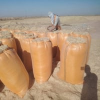 تبن درجة أولى • توصيل لجميع المحافظات • ٩٠×١٢٦