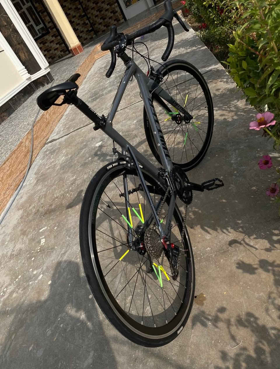 يالله سلام عليكم اخوتي الاعزاء 🤍
دراجة هوائية للبيع🚴‍♀️ ماركة TWITTER
قنيه عل التعريف رود حجم 28 المعدن الأمنيون الماشة كاربون الصينية براكيت الدشالي 11دشلي+2 الوايرات دفن الستيرن نفخ الفريم وايرات دفن البطيخات صوت طرب العقرب كاربون الوياله بوربرن كفائة عاليها ماشاءالله فول اللون سمنتي مميز مختومة جيرمني
أخوان الدرجة كامله مابيها فد شي مبدل خلاص 
بيها ملاحظات بسيطة فقط الويل الخلفي بي عواج والعقرب يرادله تعيار نظافتها 100/95 
سعرها صارت عليه ب640 السعر المطلوب 550 والي مايعرف بيها لا يكسر بيها يرحم موتاكم 
مكاني بغداد التاجي منطقة المشاهدة 
رقمي ‭***********‬
