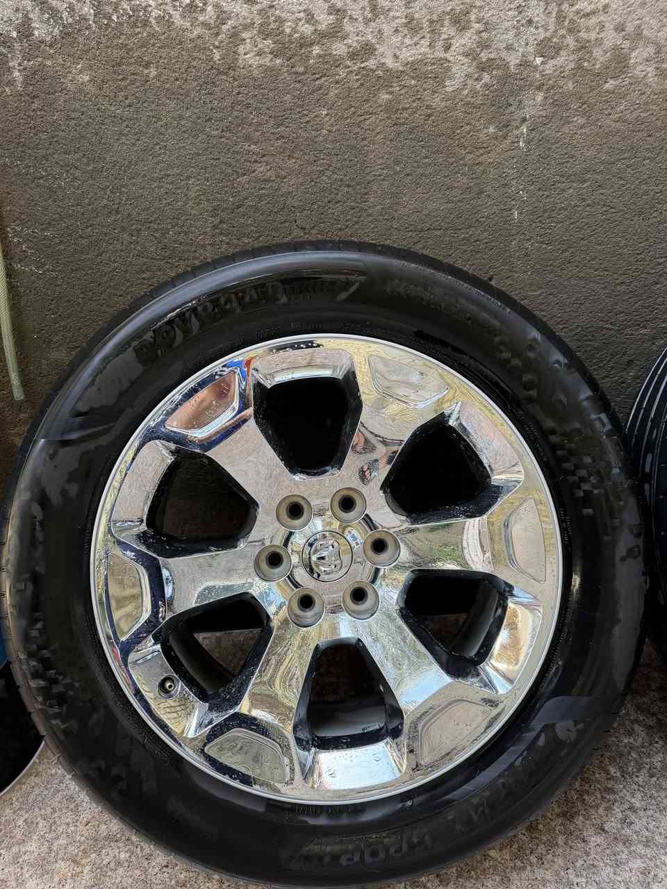 ويل رام الاصلي البلادي 💯 لا زلغ لا فطر لا صبغ وتواير جديدات الاصليات 💯للبيع
***********
