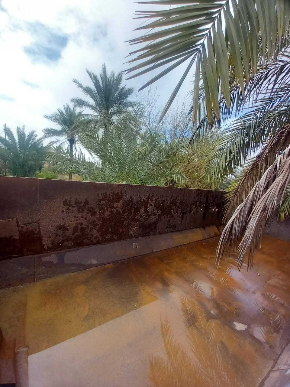 ***********. *********** بيع مستعجل
