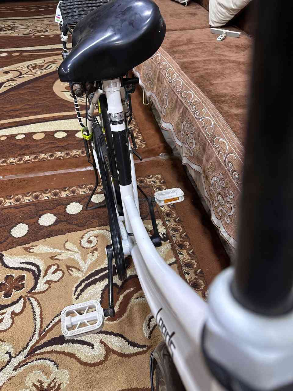 باسكل للبيع بطل 😅 👋
مديل 20
قنبله باسكله فول💞 😆 
مكاني نجف

حي المكرمه ☝️ 👇 🇧🇭

سعر 145وبي مجال بسيط 🔍 😅 

*ملاحضه اخيك اذ موشرايح لا طب خاص تعبني 🔍 😅


**إذا كنت صاحب هذا الإعلان وتريد حذفه لأي سبب، رجاءا أرسل رسالة إلى الدعم الفني**