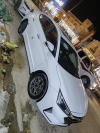 النترا • ٢٠١٩ • كفالة عامة