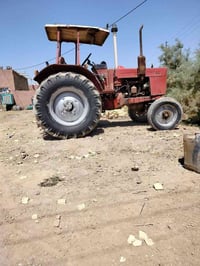 بلاروس • ٢٠٠٢ • قلعه سكر