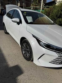 دسترويل • مكفوله • ١٠٠٠