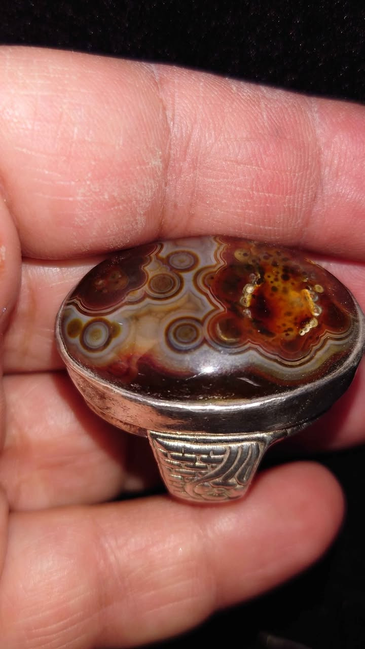 سليماني السعر 50الف العنوان بغداد زعفرانية فضه 925الهاتف *********** بغداد, العراق
