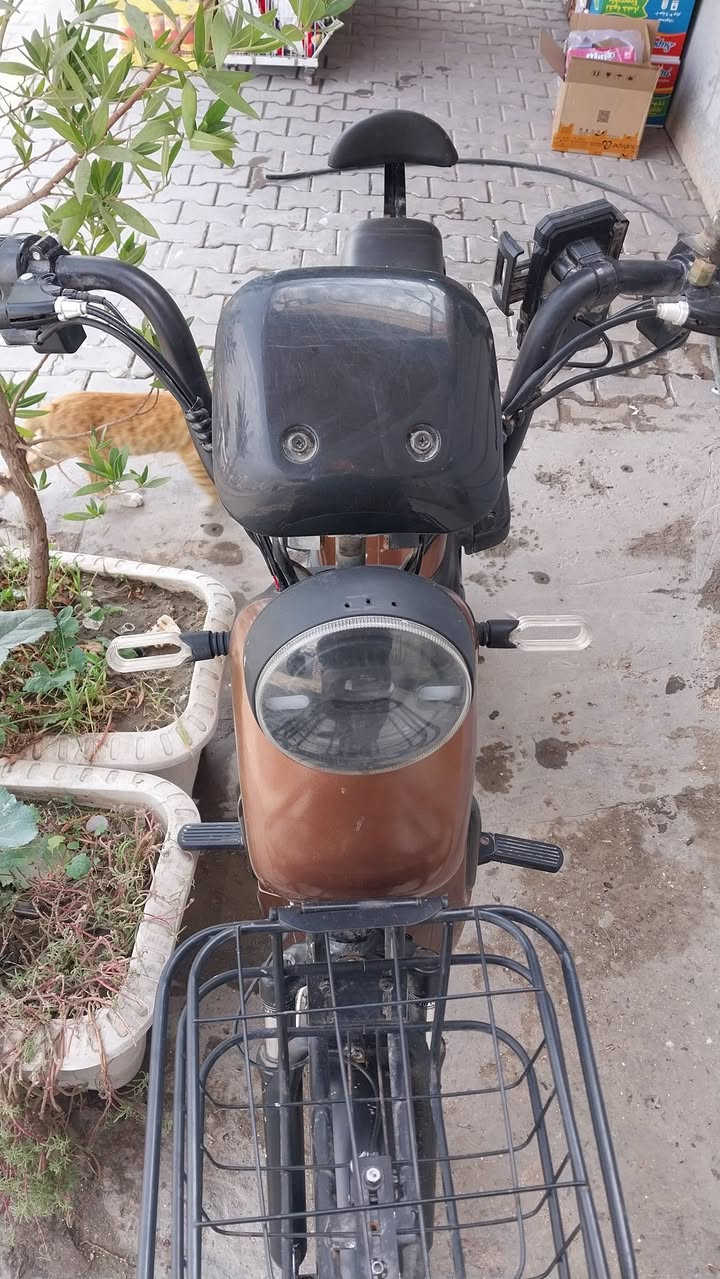 دراجة شحن للبيع 
استخدام نظيف بلادية بطاريات عالفحص بصمه عدد٢ نوع الريان السعر ٣٥٠ ألف  المكان نجف كوفه   ***********
