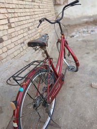 بسكليت • شطره • سعر خاص