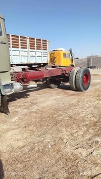 موديل ٨٠ • بدون صبغ • الرمادي