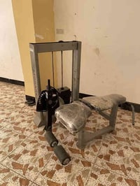 سيقان خلفي • معده جالس