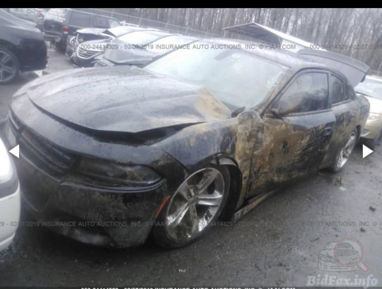 السلام عليكم دوج جارجر ارتي 2017 فول عدا الفتحه
مكينه 5700
السياره نضيفه جدا حادثهه 5 قطع مطخطخه ايرباك بس برده ماشيه 100 ميل كير مكينه لغد شاصي كله مكفولل رقمهه بغداد بأسمي مشروع وطني الجديد هزه سنويه كلهه جديد بعده ماساقط السياره ربع متصرف عليهه عليهه برمجه مصطفى ايكل طلقات وفتح فصله وسيفتي وبيهه نضام اقتصادي 4سلندر  تخم صدر حداديه كله جديد 

سعرهه 175
مكانهه بغداد الزعفرانيه
***********
