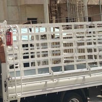 محجر • فحل • كربلاء
