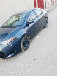 كلين٢٠١٩  07508905964