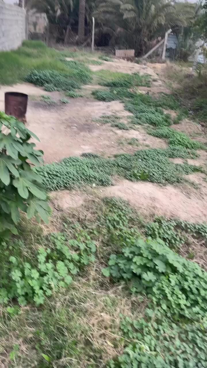 قطعه  ارض للبيع  مساحه 160 واجه 8 ونزال 20
فقط.  19. مليون.  وبيها مجال. قرار 35  شارع ابو مروان. 
للاتصال. عل رقم ***********
ابو نمر. القريشي
