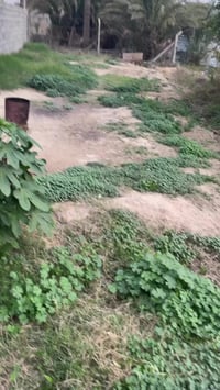 شارع ابو مروان • ١٦٠م • واجه ٨م