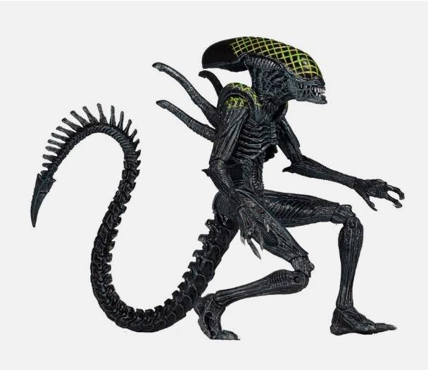 السعر 25


**إذا كنت صاحب هذا الإعلان وتريد حذفه لأي سبب، رجاءا أرسل رسالة إلى الدعم الفني**