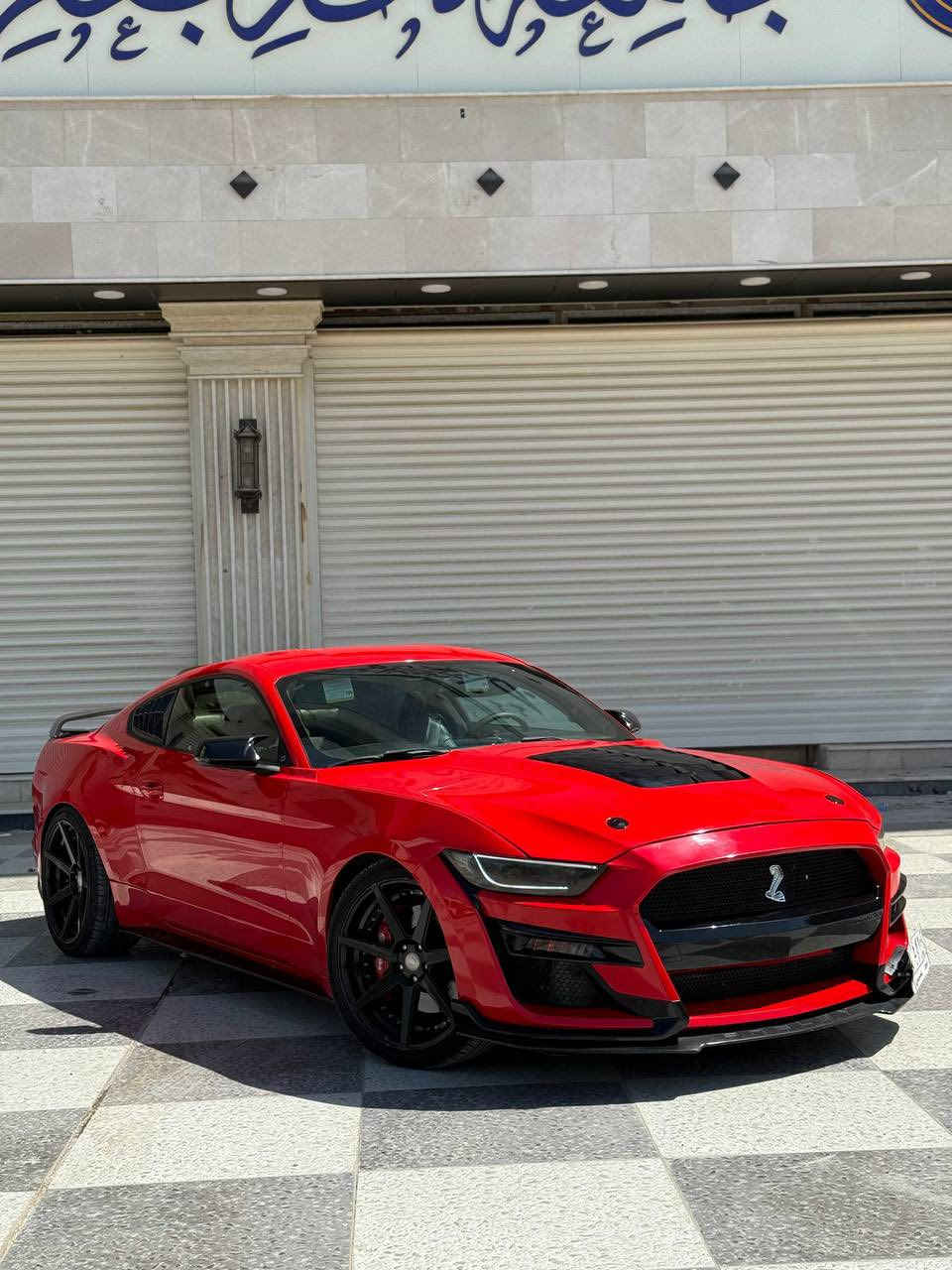 السلام عليكم قبل كلشي الي مايعرف بالتزويد والصرف المصروف ع سيارة لايتصل ويفشل روحه وعيوني الكم 

بيع او مراوس 🔞

نوع السيارة :‏ موستنك  (  GT Premium ) 

‏‎ الموديل : 2016

‏‎الفئة : جي تي بريميوم (10 نمر )

‏‎اللون :احمر  👑

‏‎عداد المسافة 105 الف 

‏‎عدد الاسطوانات : 8 سلندر ✈️⚠️

‏‎حجم المحرك : 5.0 🔥 ⛔️

السيارة كلش مميزة ❤️

الاضافات 

- كزوز كورس هدرزز 
-ويل ٢٠ تو سايز اصلي شلبي
 -بنيد ودعاميه شلبي
 -وجوملغات لويات ايباخ
 -راديترات اصلي 
-ولف حماوه برمجه حماوه وتقليل صرف وقود وستخدام يومي 
-جنح خلفي شلبي 
-دعاميه خلفي شلبي 
-لدات امامي شلبي
 وغيرها من الاضافات 

شباب السيارة كلش قوية ومزودة ومبرمجة ومحدث شيلبي ومصروف عليها هواي وسياره نصبتها تخبل 

‏‎المواصفات فول 1/1 بريميوم 

- شاشة كبيرة
-تشغيل عن بعد 
-كشنات تحكم كهرباء
-انارة داخليه دشبول وبيبان واكواب وارضيات سبع الوان 
-ثلاث وضعيات ستيرن
- كاميرا
- كشنات جلد ( تدفئة وتبريد)
- دشبول 7 اللوان متغير
- سستم سماعات
- شيفتات ستيرن
- مودات سبورت وسبورت بلاس وتراك ومطر وثلج وعادي 
- حساس خلفي
- رادار جانبي ( نقطة العمياء )
- لايت لد 
-انارة ترحيبية بالمري 
فجوج برمبو اصل
-دخول ذكي

رقم بغداد مشروع وطني  بأسمي 
 وهزة جديدة 

‏‎حالة السيارة : وارد امريكي

حادثها بأمريكا جاملغ امامي ايسر وايمن ودعامية امامي وخلفي وبالعراق بيها صبغ بالباب الايمن 
لغود وشواصي وگير ومحرك واكسل كله مكفول 
التبريد بوضع الشركة
سياره بالحقيقه تموت 🥰
موقع السيارة :الانبار
العافية ع الياخذها ❤️

*********** ‎
*********** واتساب 
السعر 165 بيها مجال بسيط
