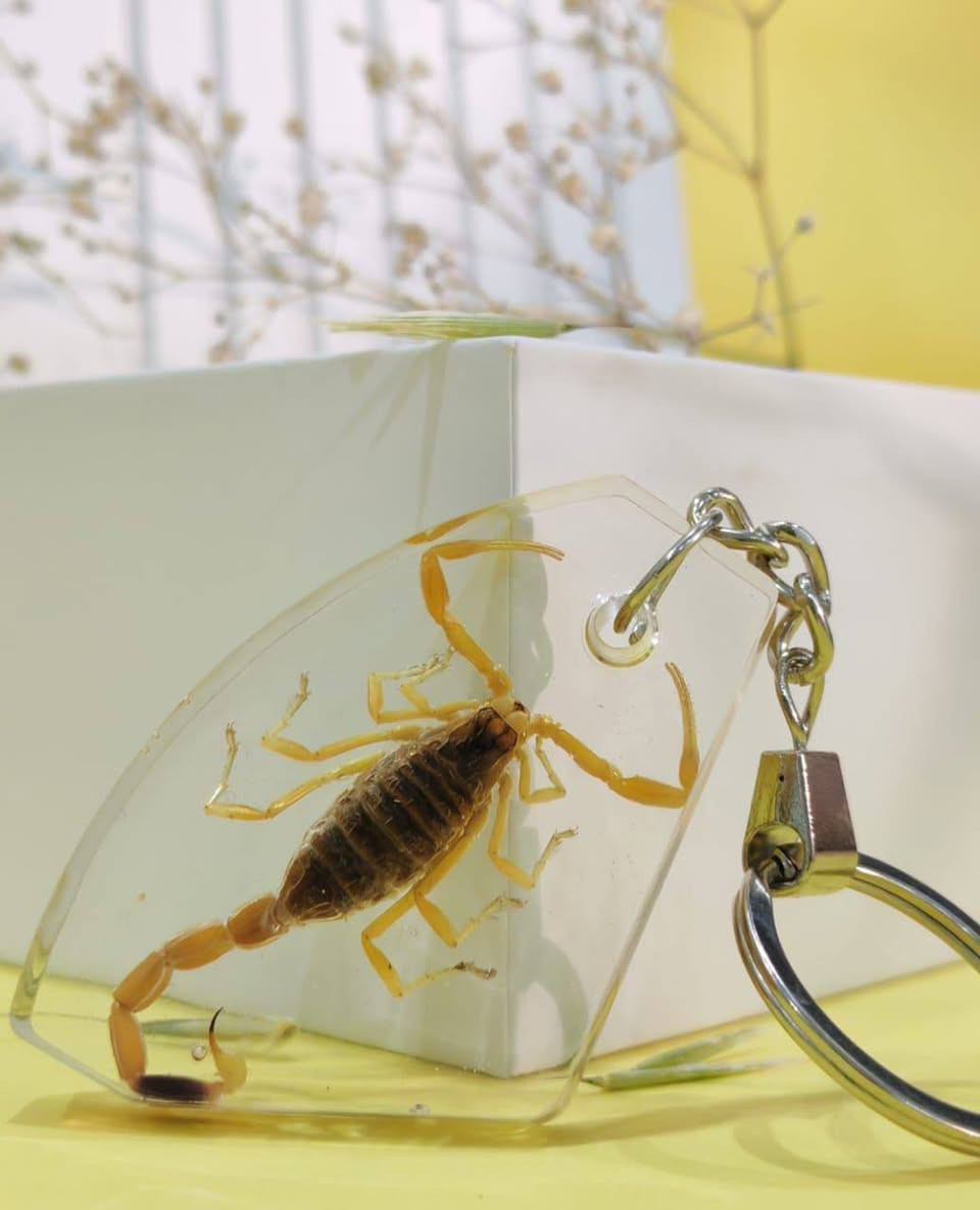 متاح ميدالياات العقارب المحنطة جملة بسعر كويس هاند ميد ١٠٠%


**إذا كنت صاحب هذا الإعلان وتريد حذفه لأي سبب، رجاءا أرسل رسالة إلى الدعم الفني**