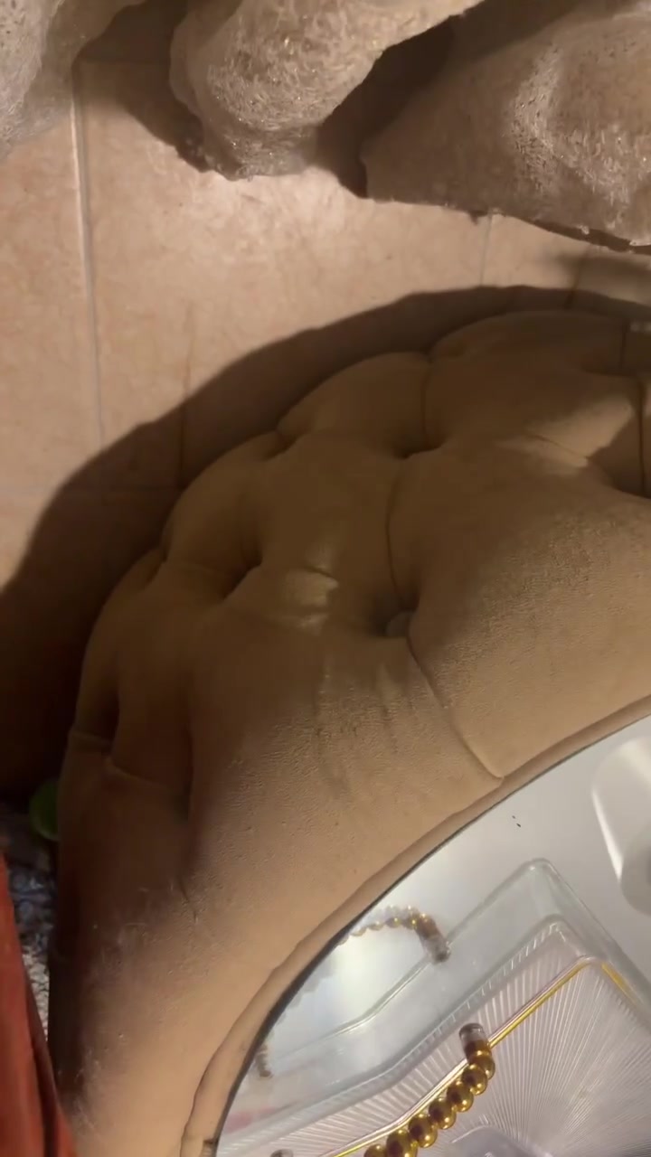 ٨مقاعد تركي جديد ماخذتة بمليون و٤٥٠ بي ضرر فحمة سعر البيع٦٠٠


**إذا كنت صاحب هذا الإعلان وتريد حذفه لأي سبب، رجاءا أرسل رسالة إلى الدعم الفني**