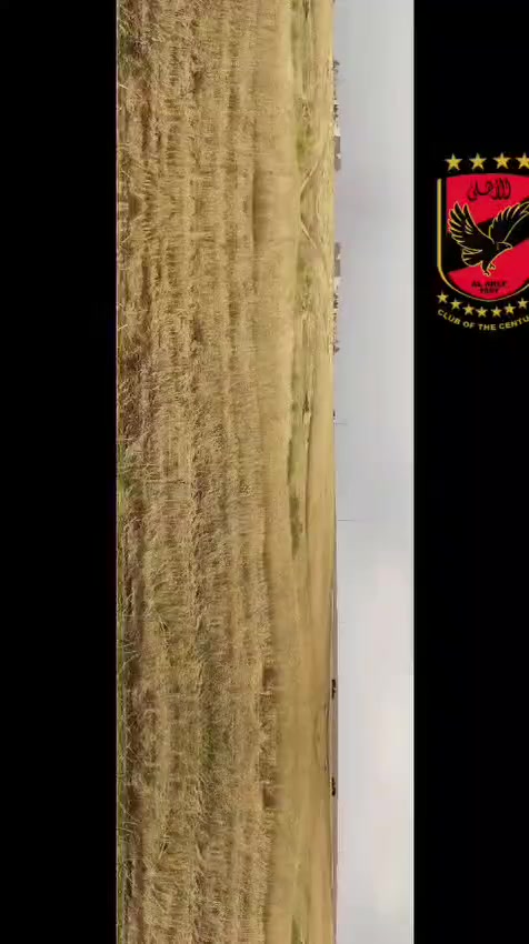 جوندير اوروپي منفيس 
موديل 1991 
***********
