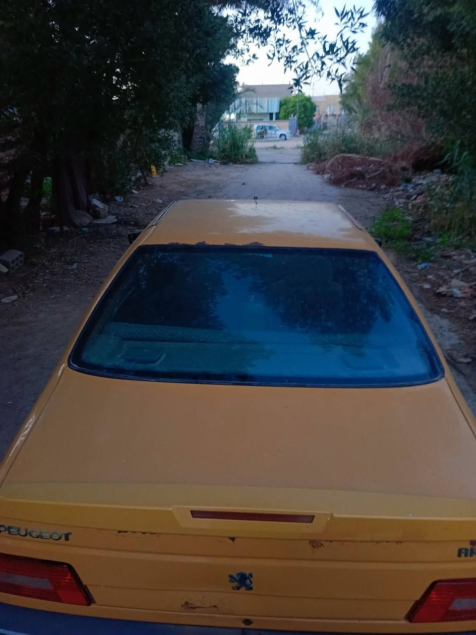 السلام عليكم بيجو 405اكد موديل 2015 سياره كفاله من الضربه او الصبغ او التبديل. هيئه مصفره. عليهه250حسب الاتفاق غرامات رقم بغداد سنويه بشهر 9تسقط  تبريد شغال السياره بس كتف الفان.  بيهه تنقيص السياره او بل1قره بسيطه كلش   راعيهه يريد مداور لذالك عرضتهه للبيع  تشترع  الك شهر بيهه كبل عقد مروري  مكان السياره ديوانيه  0780128750


**إذا كنت صاحب هذا الإعلان وتريد حذفه لأي سبب، رجاءا أرسل رسالة إلى الدعم الفني**