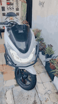 جيل الثاني ياباني 150سيسي  ماشيه ١٢   حساس زدحام   حساس ستان   كهربائي...