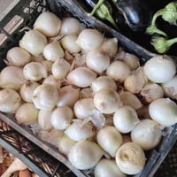 اسواق ابو الوليد • ترحيب