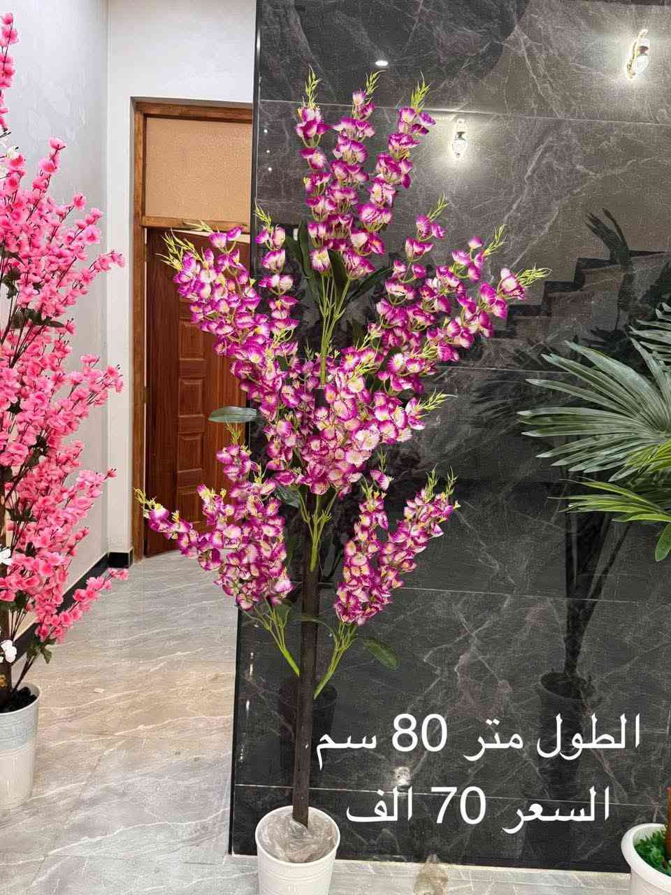 زرع صناعي


**إذا كنت صاحب هذا الإعلان وتريد حذفه لأي سبب، رجاءا أرسل رسالة إلى الدعم الفني**