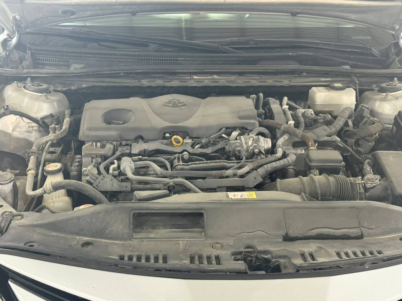 السلام عليكم كامري خليجي  هايبرد للبيع بيه قطعتين بدون
دواخل موديل 24LEفول مواصفات عده البنيرامه بصمه 

لايت زنون 3نضام قياده سايد بريك كهربائي تحديد مسار 

رقم بغداد باسمي دخوله للعراق 1/11/2025 ماشيه 54الف المكان واسط الزبيدية السعر 200ورقه 

***********
