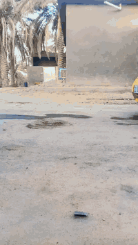 طيبه ٢٠١٥ • كفالة • رقم انكليزي