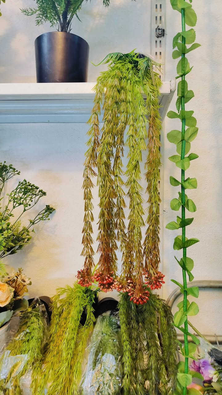 اغصان متدلي اكثر من موديلا 🎋☘️
اشكال وموديلات مختلفه  
عنوان المحل #واسط قضاء #النعمانيه 
 الشيشان الجديد الشارع الرابع
  محل الغيث للتسويق  محل الغيث للتسويق المنزلي


**إذا كنت صاحب هذا الإعلان وتريد حذفه لأي سبب، رجاءا أرسل رسالة إلى الدعم الفني**