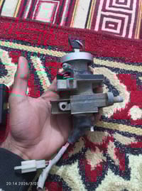 جوزة ماكس • منغولي • دوانيه مركز