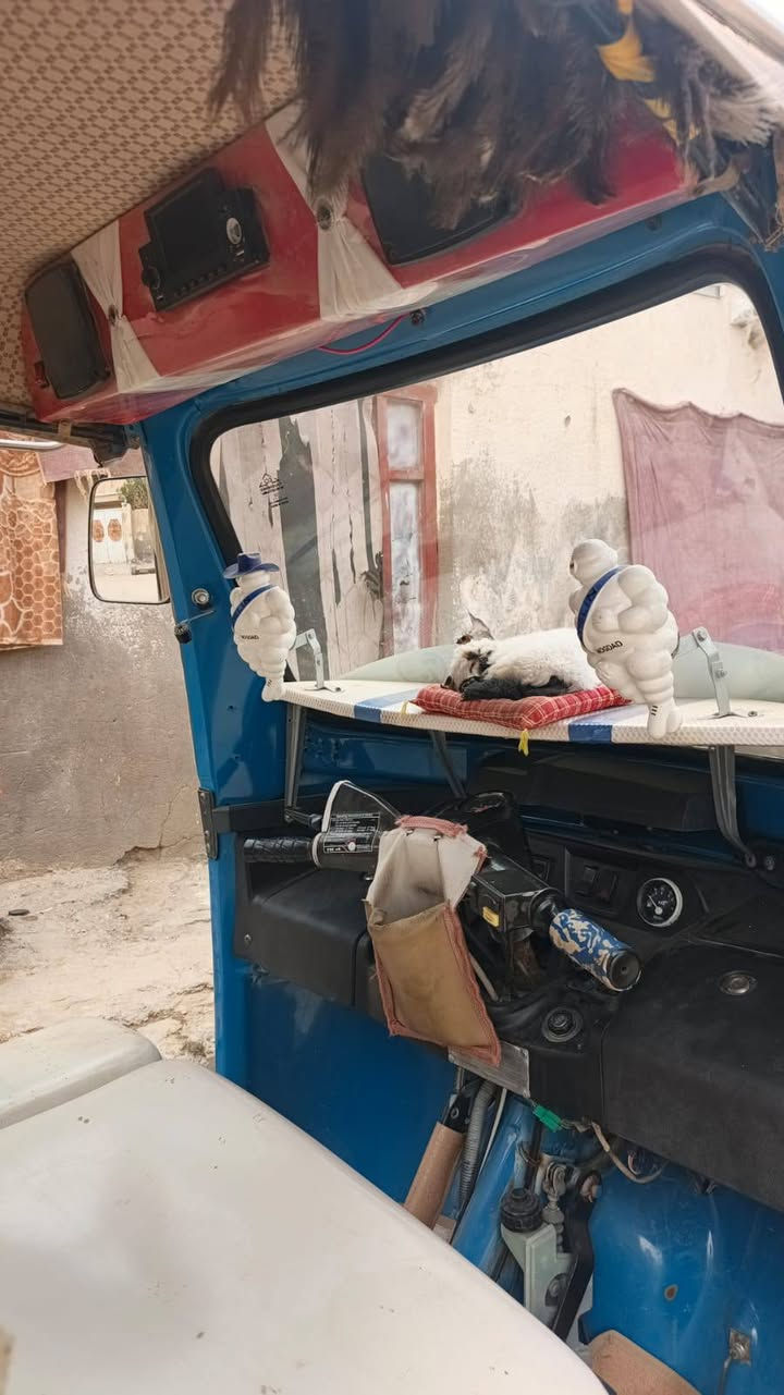 تكتك تي في اس رقم ذي قار انكليزي بسمي كفاله فقط الكاور مبدل تكتك جاهزه كبل لشارع السعر7250
***********
