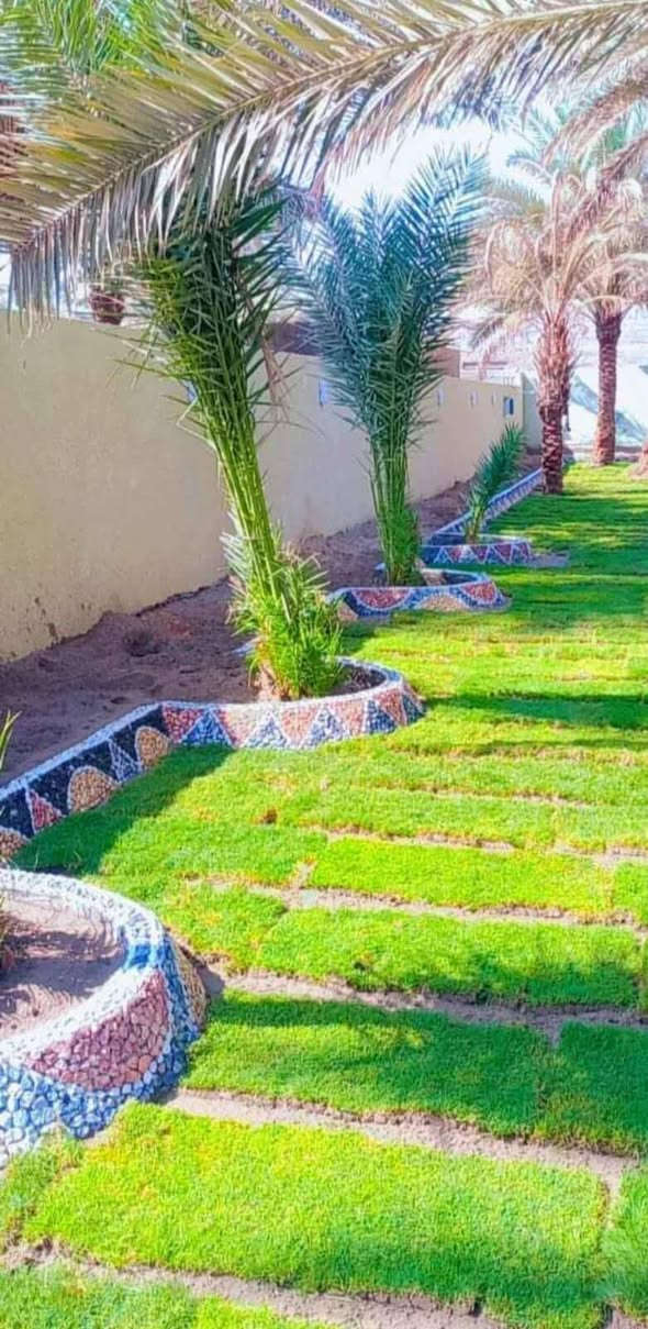 لعمل الديكور اتصل على الرقم (***********)
🍃مستـعدون🍂 ، لـترتيب🐦 الحدائق المنزلية 🏝️🏘️ ودوائر الدوله والمتنزهات  مايخص الحدائق العامة
وزراعة النباتات، 🌾🌴🌱والازهار، 🌼🌺🌻وقص الثيل.🌾🌾
وعمل الديكورات والتصاميم،الحديثة للحدائق،وعمل وسياجات BRC وسياجات الحدائق، بواسطة الاحجار الملونة والاشتايكر
