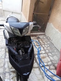 ثعلب • للبيع • خاص