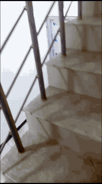 بيت لايجار او البيع في حي النصر ال14 دون دلاليه ب500 مساحه 150متر ركن واجهه 15 والثانيه 10 وجه فرعي والثاني رئيسي غرفتين نوم صاله واستقبالة مطبخ مفتوح حديقه وكراج رقم *********** صاحب البيت
