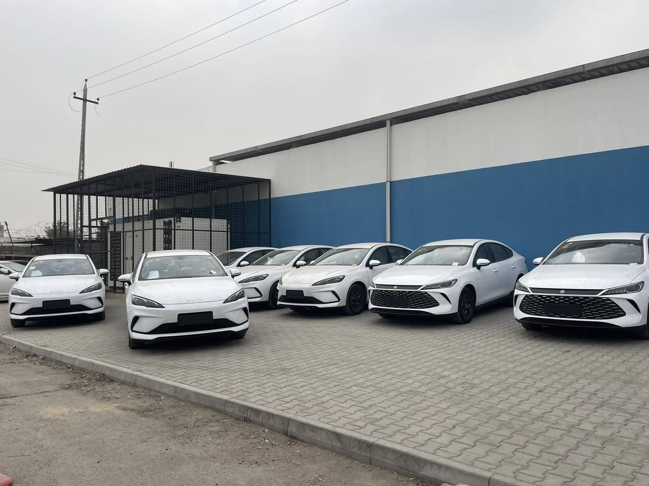 #معرض #حجي #خالد  #لتجارة #السيارات
وصول وجبة جديده من BYD 2025 جميع الالوان متوفرة اسود 🖤وابيض🤍 ورصاصي 🩶
 
السعر: انسب الاسعار اتصل على الارقام التاليه
***********
***********

‏qin plus      - - -   destroer - -seal05 - -song L
   
    1: سيل 05 seal✴️ لون ابيض 🤍واسود🖤

2: كن بلاس qin plus. لون ابيض

‏3: ✴️ Destroer  05. دستروير  ابيض
4: دستروير اسود 
5: دستروير رصاصي 
                                                     6: song L سونك ال 
 7: سونك بلاس لون اسمنتي 

للطلب والاستفسار والحجز الاتصال على الارقام التالية
***********
***********
ادارة المبيعات

☎️📞📲☎️📞📲

بغداد  

شكراً لتواصلكم معنا
 #سيارات  #BYD
#سيل5 #سيل05
#كن_بلاس 
#دستروير
#سونك
