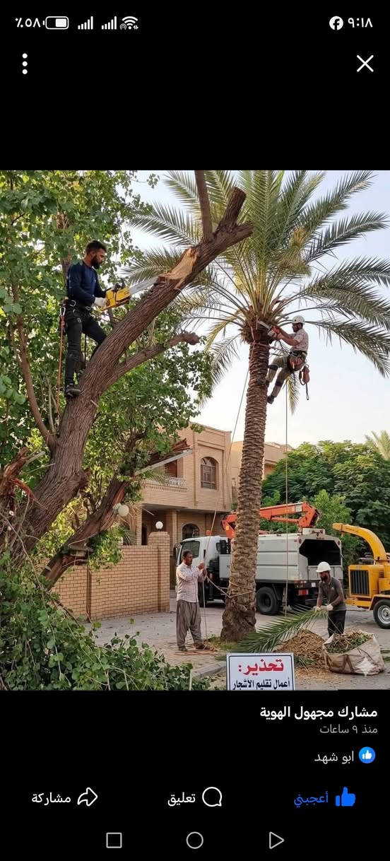 📢 خدمة قطع الأشجار ونخيل   في بغداد – الكرخ والرصافة 🌴✂️واتساب ***********
***********
