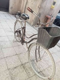 باسكال حجم 26 بناتي سعر 45 بي مجال المكان البياع الشرط الخامس الرقم ال...